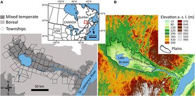 Forest Transformation Following European Settlement in the Saguenay-Lac-St-Jean Valley in Eastern Québec, Canada